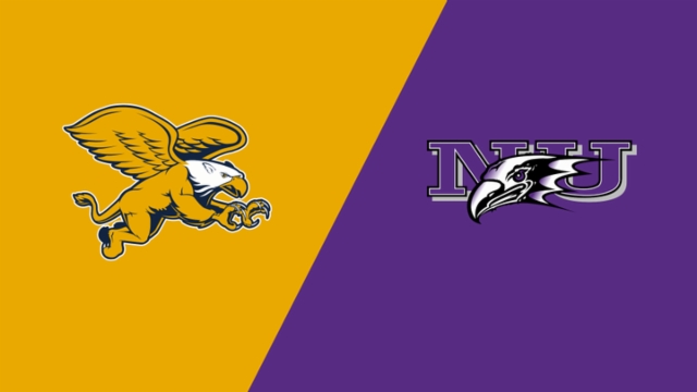 球明星贝克 球明星贝克